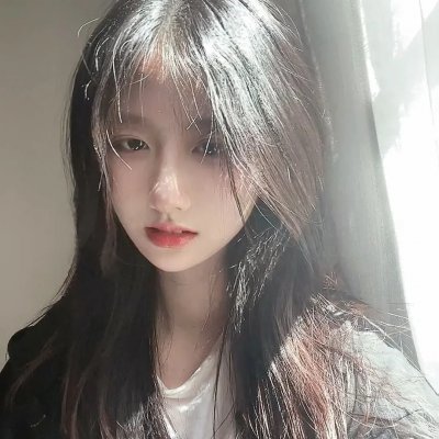暴风雪中的白鸟